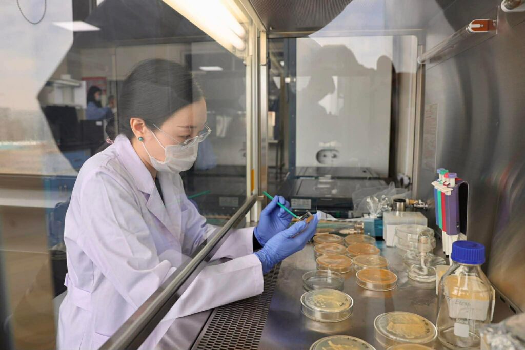 670369562 942865348150436 4993585093098258145 n 1024x683