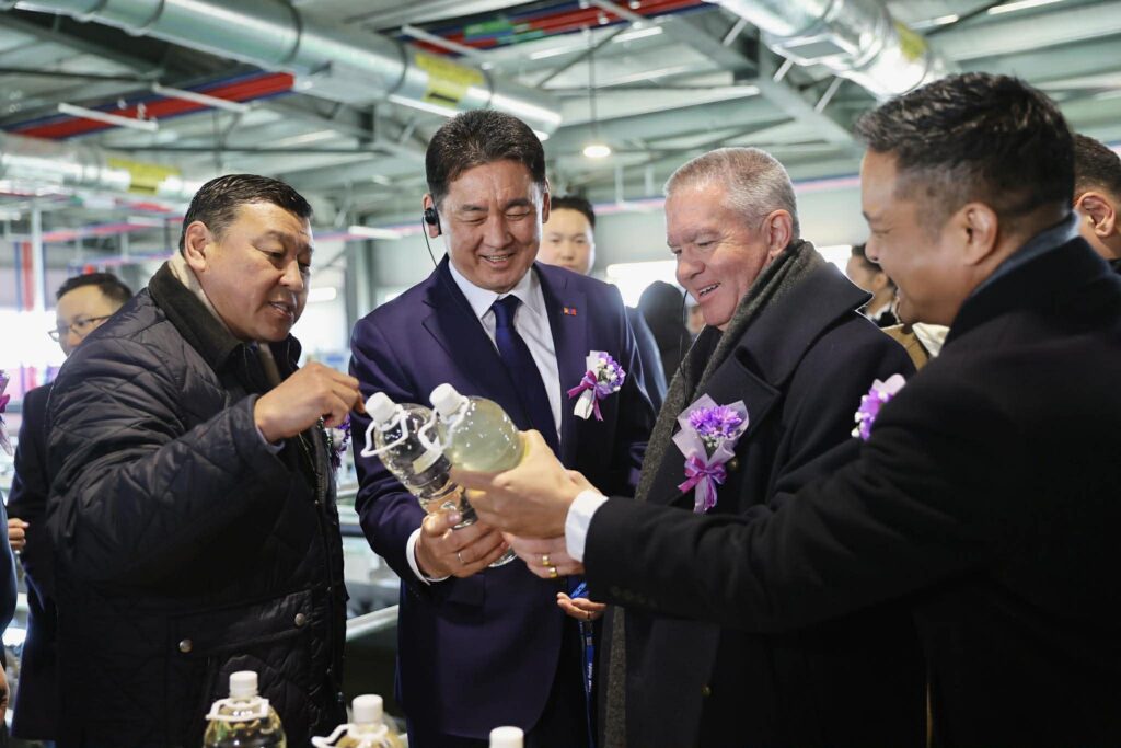 648461190 949058910868832 9191430490826360975 n 1024x683