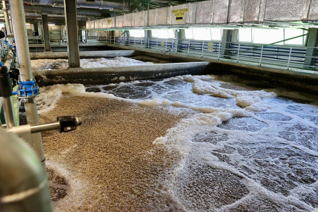 651381115 2028334697780053 8834665434840498399 n 1024x683